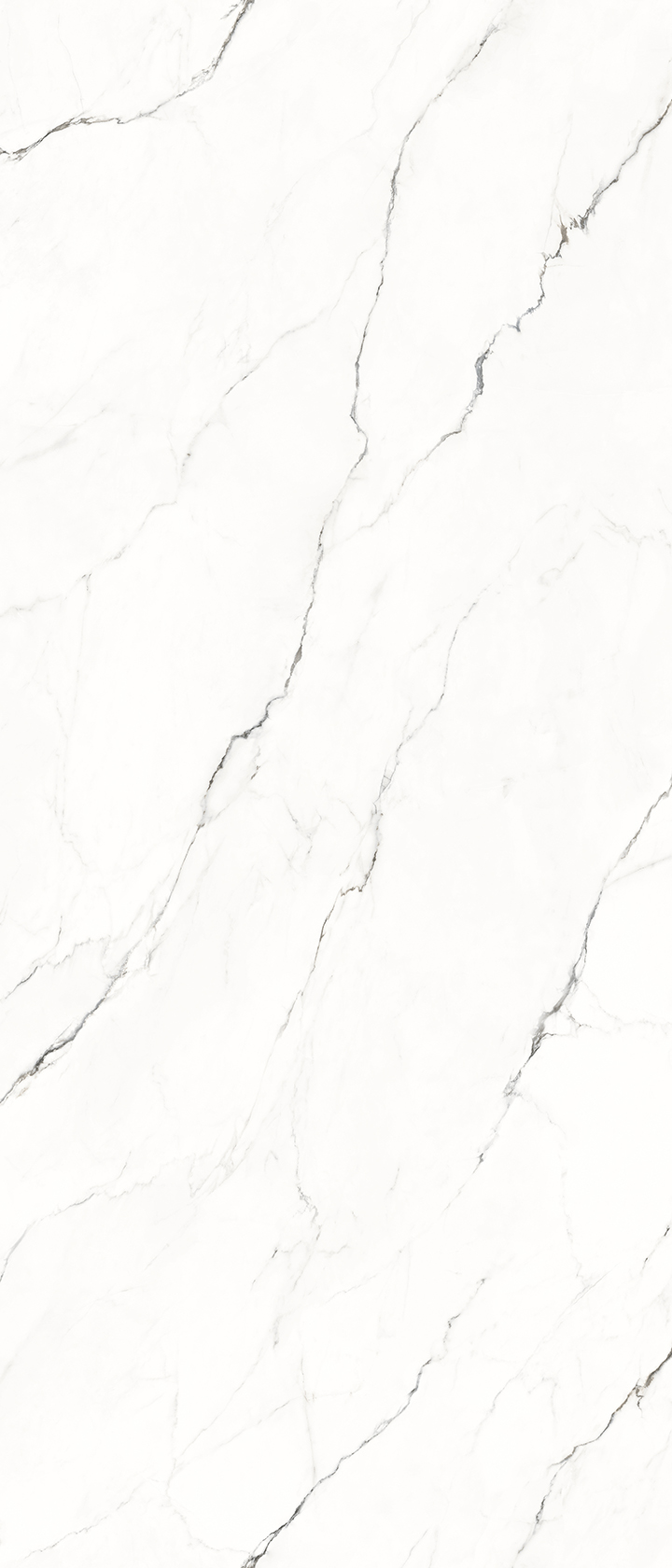 MACCHIA VECCHIA（白）