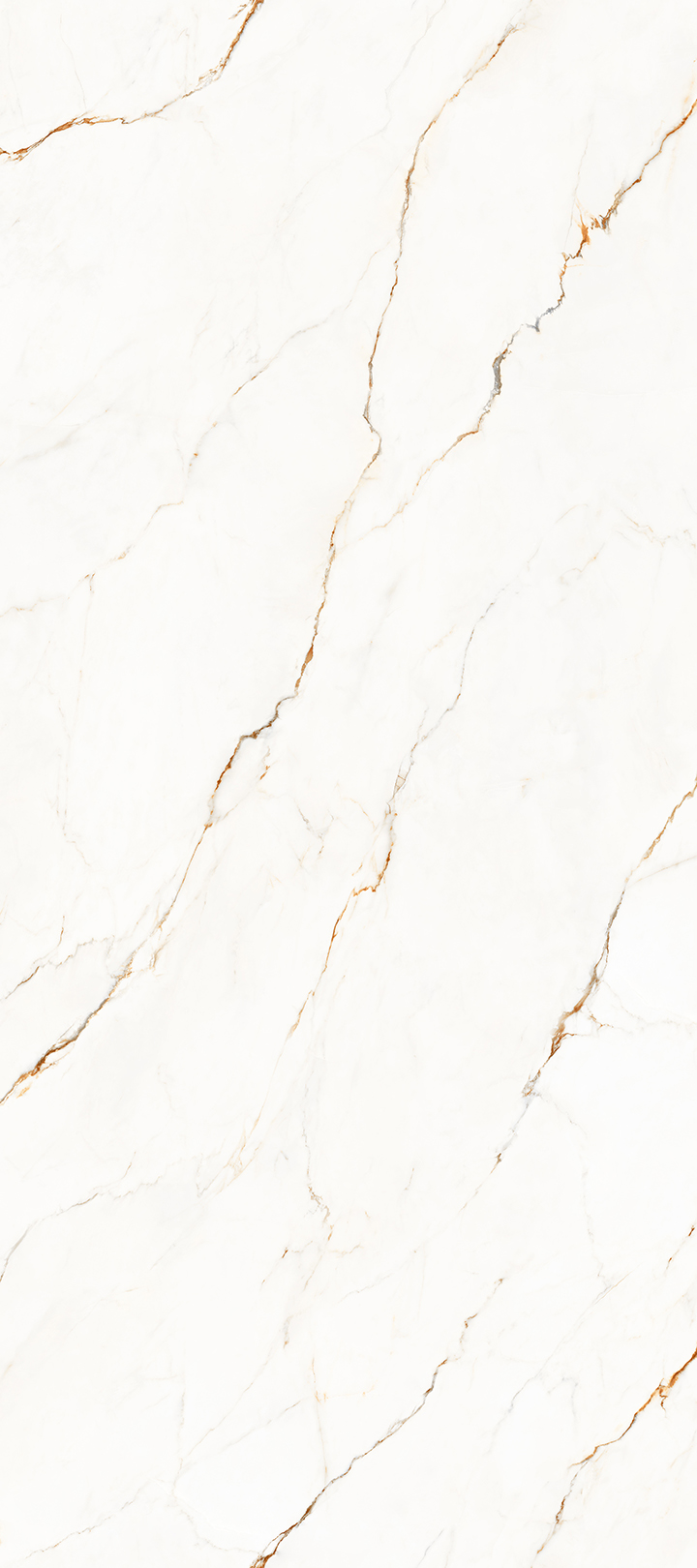 MACCHIA VECCHIA（金）