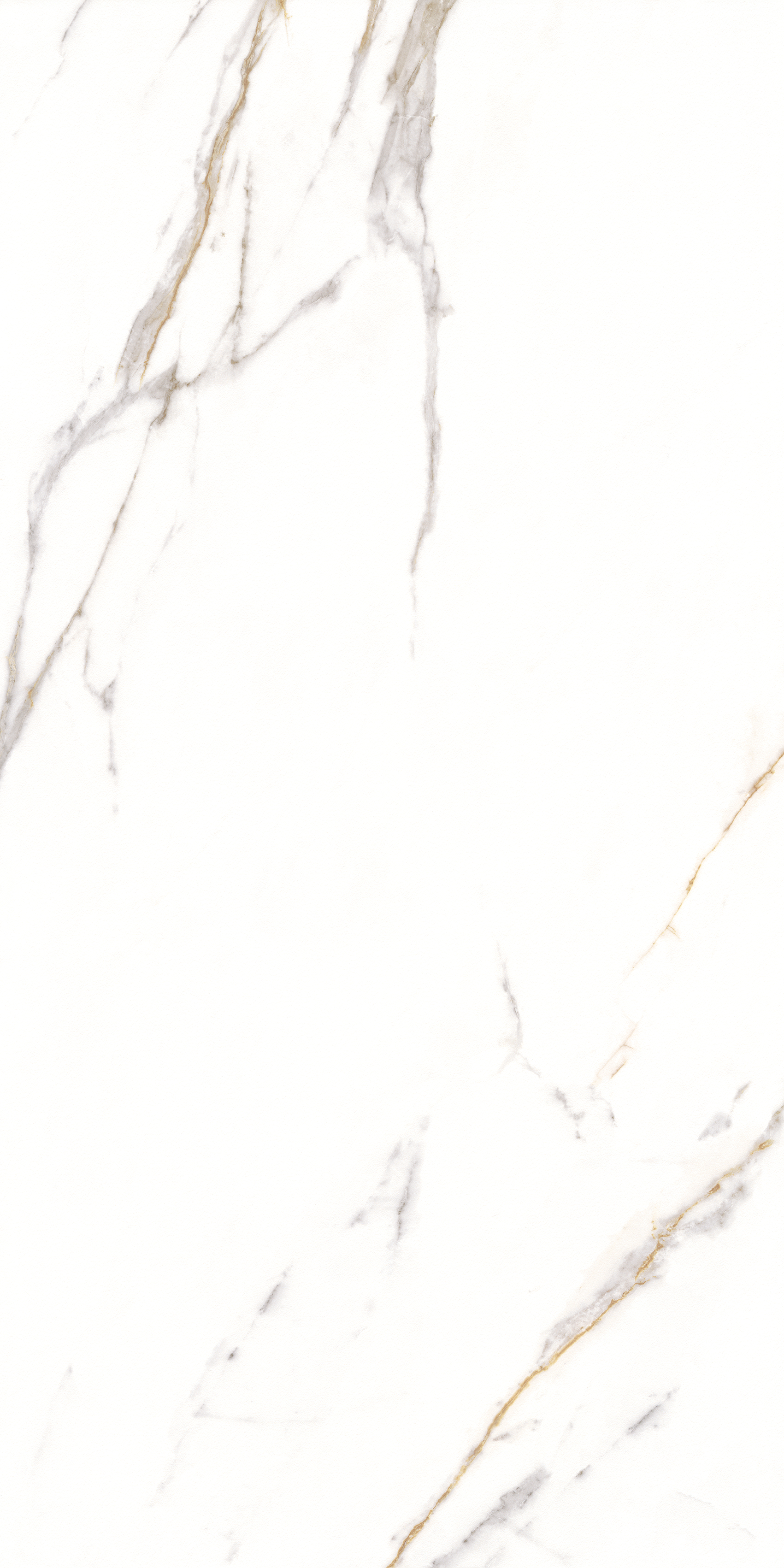 CARRARA GOLD